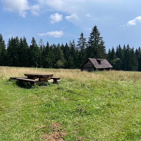 Drevenicky Pod Bystrou-drevenicka Bystrianka *